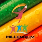 Millennium coaching institute