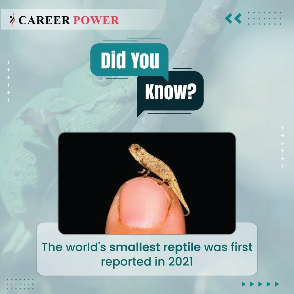 Career Power